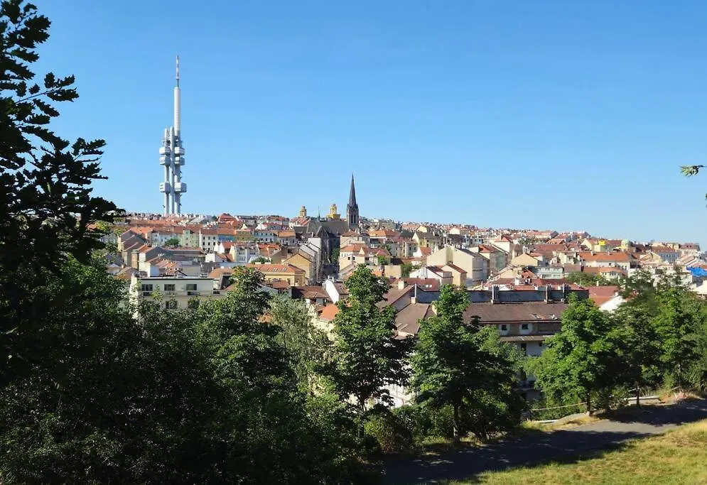 Apartment Artistic Designer Studio Zizkov Prague